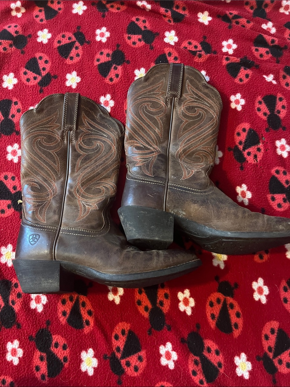 Ariat Brown Textured Leather Western Boot Interior Detail
